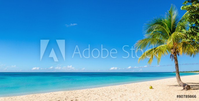 Bild på Amazing sandy beach with coconut palm tree and blue sky Caribbe